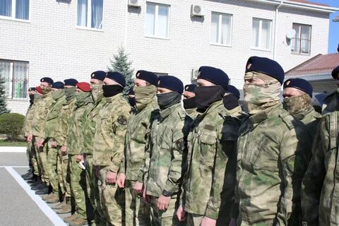 Образование собр