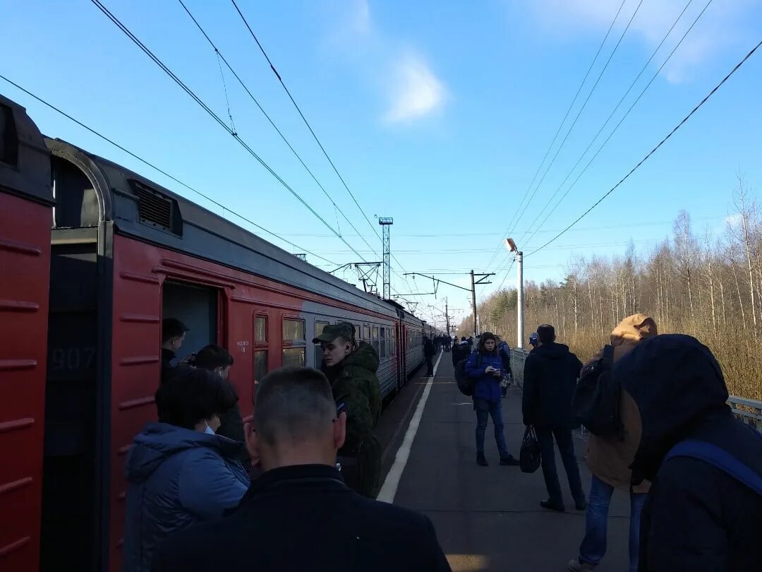 Почему задержали поезд. Станция Озерки Санкт-Петербург электричка. Задержка поезда. ЖД станции Приозерского направления. Направление на Приозерск электрички.