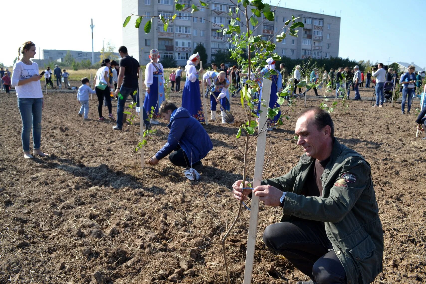 Хорошие дни в апреле 2024г посадка картофеля. Вишневый сад Гороховец. Вишневый сад сажают. Гороховец, вишневый сад, фото. Саду цвесть Россия.