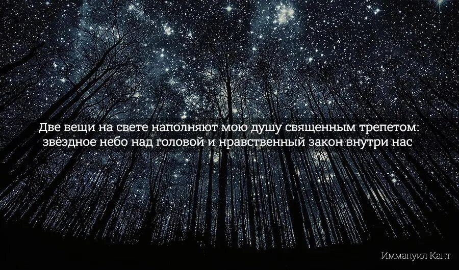 И звездное небо над головой нравственный закон. Звёздное небо над головой и нравственный закон внутри нас. Высказывания о звездах. Цитаты про звездное небо. Высказывания о Звездном небе.