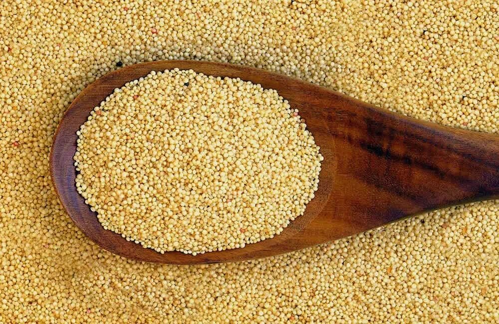 Семена амаранта. Амарант семена и крупа. Киноа и амарант. Амарант специя. Киноа и амарант.