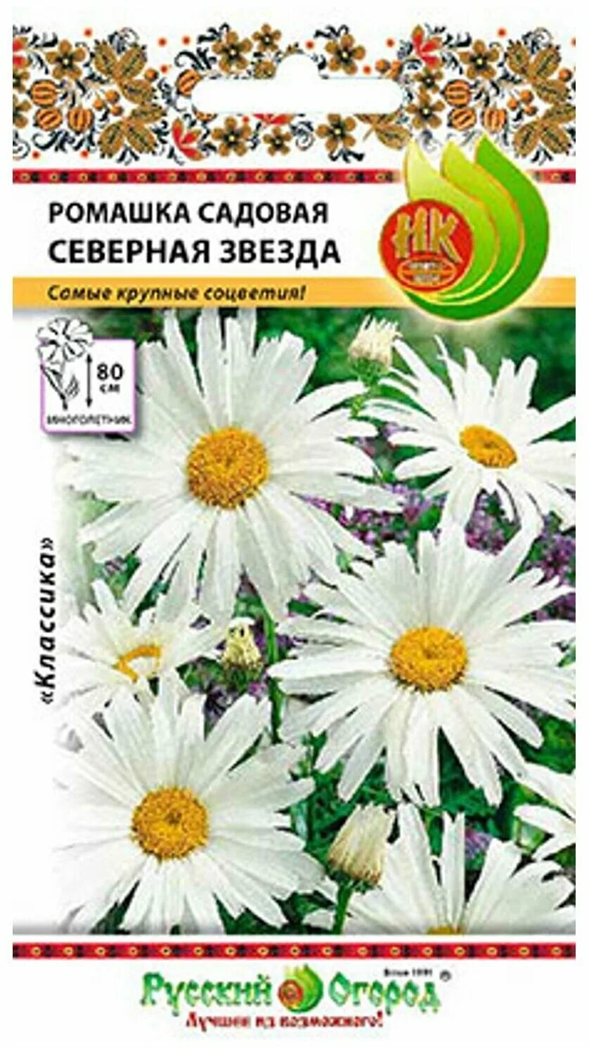 Семена ромашки. Цветы ромашки семена. Ромашка низкорослая серебряная принцесса. Ромашка садовая северная звезда. Ромашка садовая принцесса 0,3г.