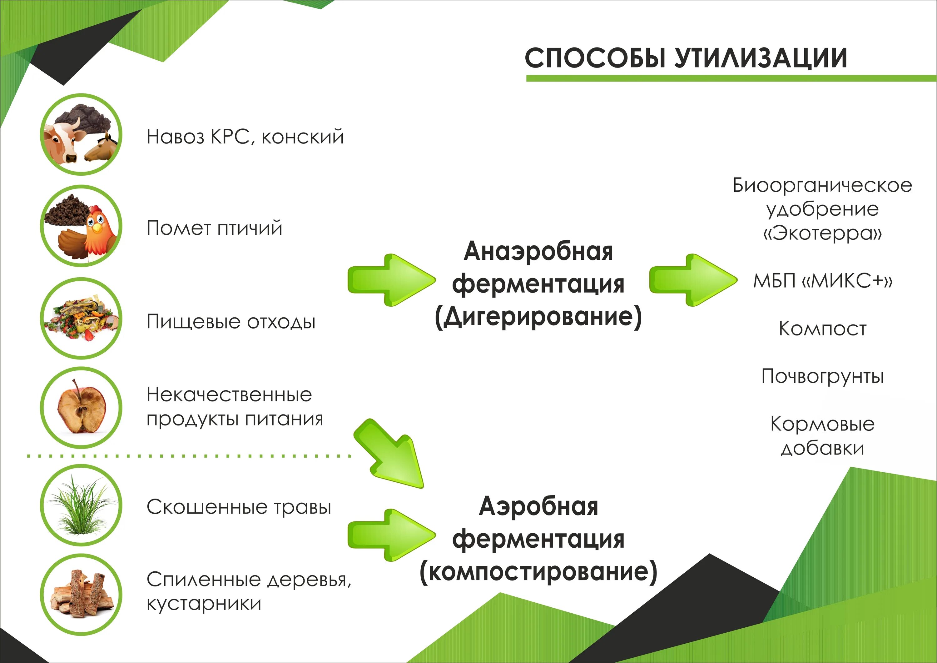 Способы утилизации животных. Переработка биоотходов. Пищевые отходы срок разложения. Утилизация биоотходов. Способы утилизации животных.