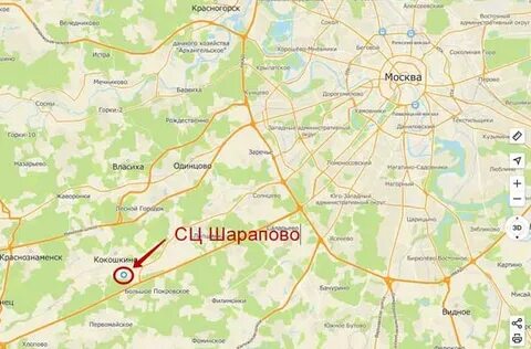 Шарапова московская обл