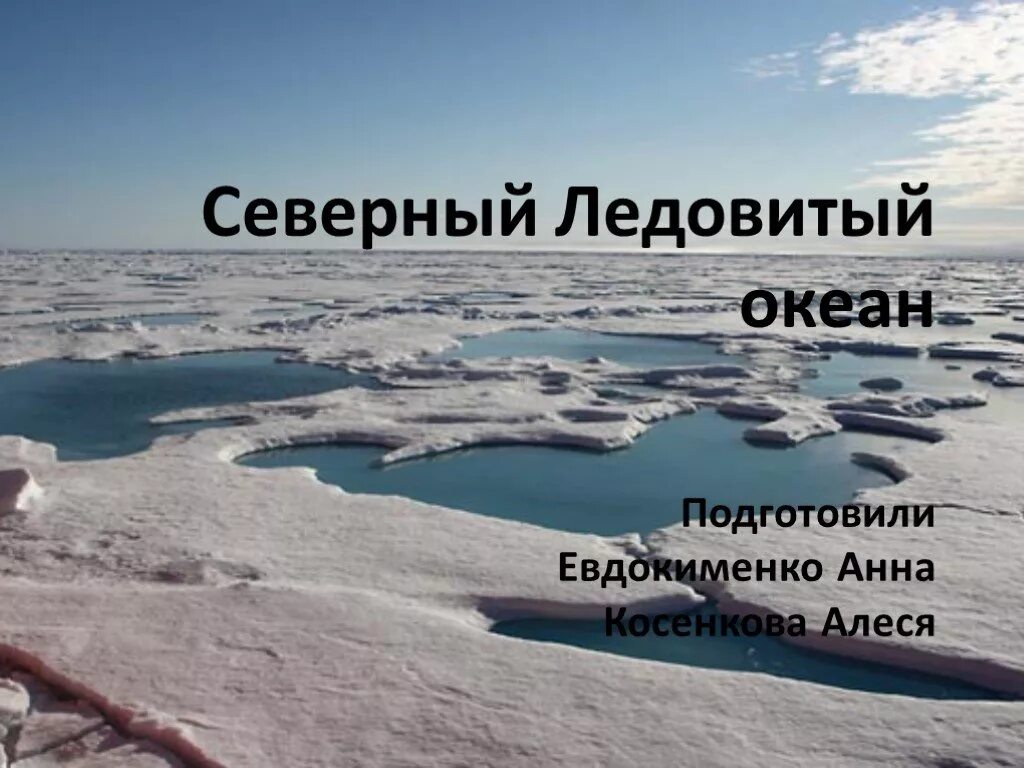 Океан северного ледовитого презентация. Северно Ледовитый океан Ледовитый. Северно Ледовитый океан география. Изучение Северного Ледовитого океана. Северный Ледовитый океан презентация.