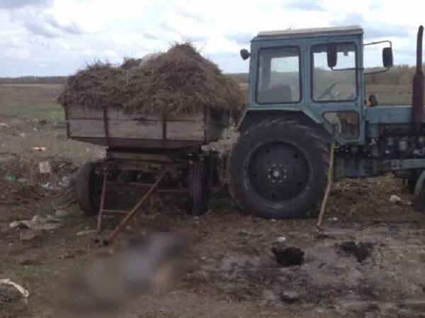 Погода в селе изобильное соль илецкого. Погода в селе изобильное соль илецкого
