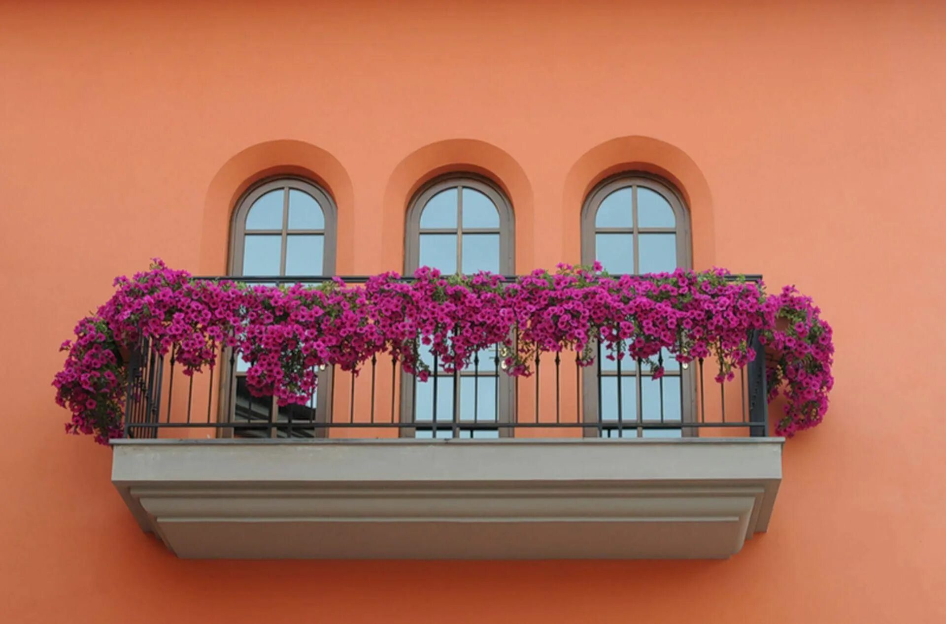 Красивые балконы / Юмор Balcony garden, Garden inspiration, Small backyard garde