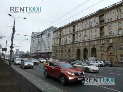 Новый арбат 30 9 кафе с капибарами