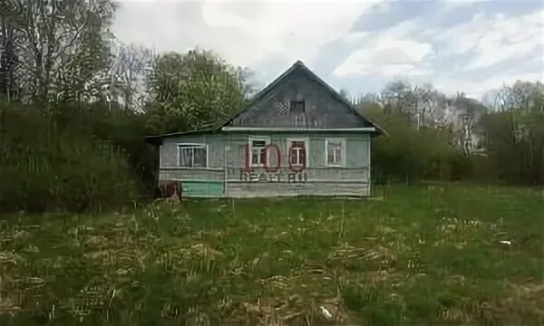 Авито парфино. Д Парфино Новгородская область. Деревня Залучье Новгородская область. Поселок Парфино. Залучье Старорусского района Новгородской области.