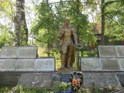 Мох тверская область
