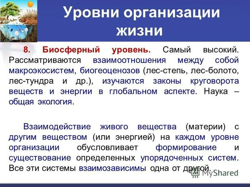 кандидат экологических наук