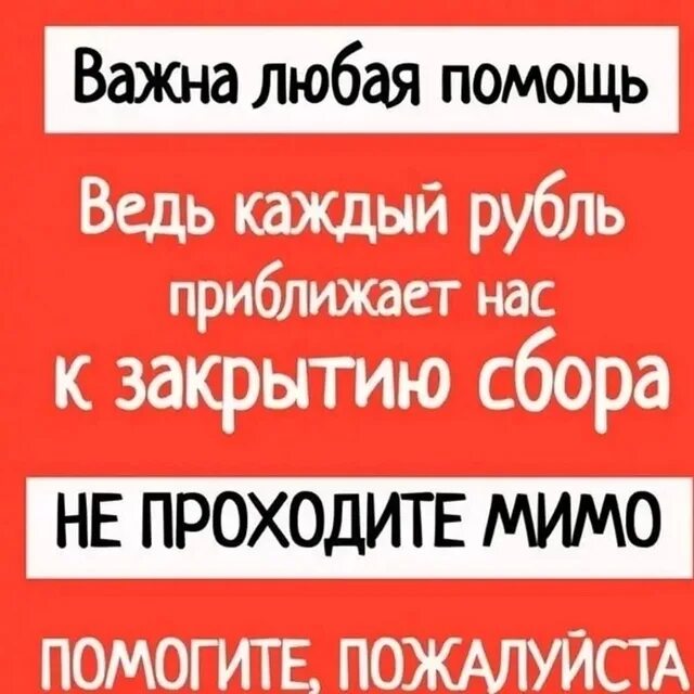 Нашей помощью у вас есть