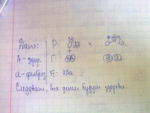 Решение задач по биологии 11 класс. Генетические задачи. Задачи по генетике. Генетические задачи по биологии. Задачи по биологии по генетике.