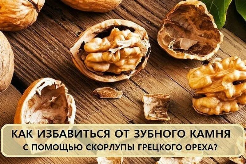 Скорлупа от грецкого ореха. Скорлупа грецкого ореха для зубов. Камень грецкий орех. Рецепты скорлупы грецкого ореха