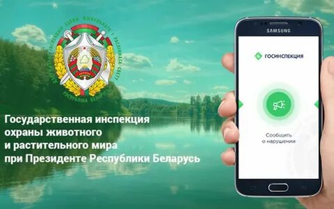 Инспекция животного и растительного