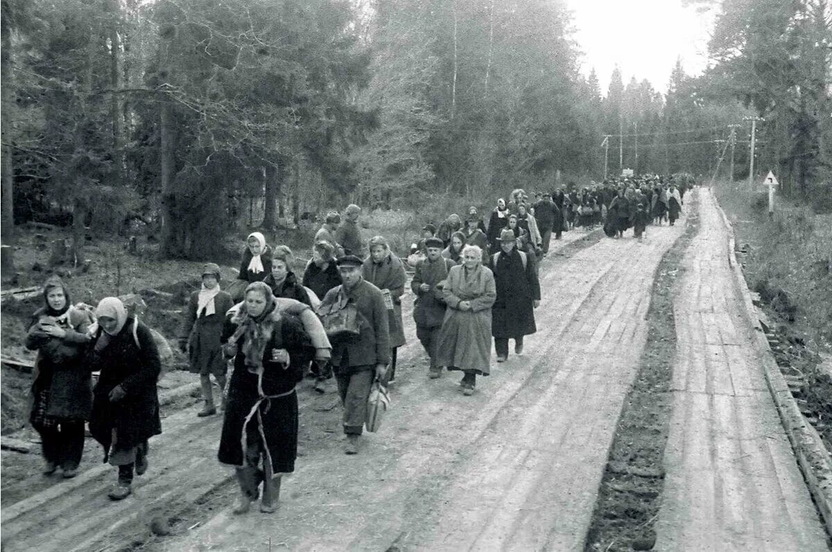 Великая Германия 1945 Восточная Пруссия. Немецкие беженцы в Восточной Пруссии 1945. Беженцы из Кенигсберга 1945. Эвакуация немцев из Восточной Пруссии. На минском шоссе стихотворение