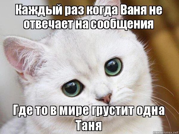 если человек не отвечает на сообщения. смешные переписки. смешные смс переписки. смешные смс от родителей и детей. прикольные картинки если парень не отвечает на сообщения.