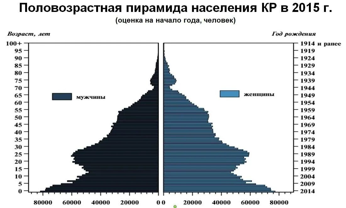 Население Казахстана и Половозрастная пирамида. Половозрастная пирамида Узбекистана 2020. Демографическая пирамида Киргизии. Половозрастная пирамида демография. Численность киргизов