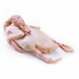 Тушка с головой
