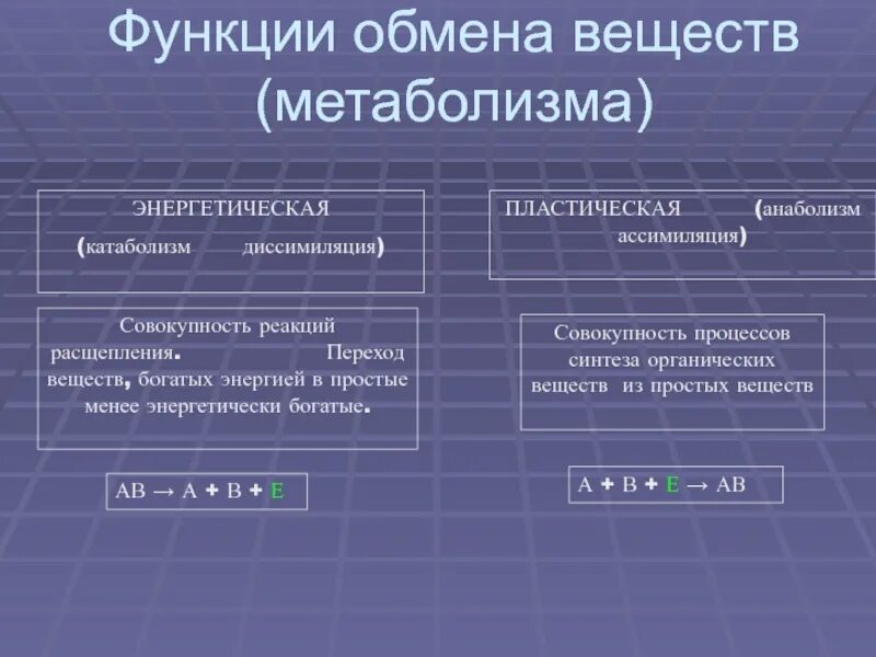 Основные функции обмена веществ. Функции обмена веществ. Функции метаболизма. 4 Функции метаболизма.