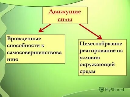 Источники сил в обществе