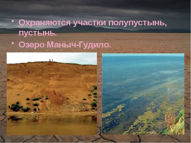 Названия заповедников расположенных в пустыне