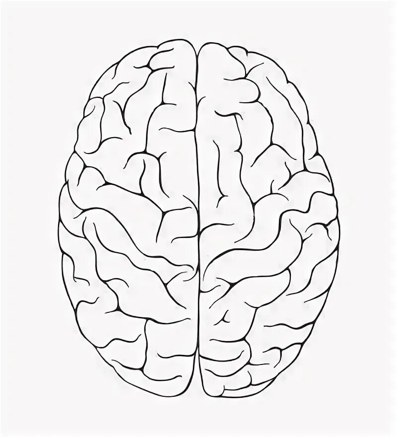 Brain start