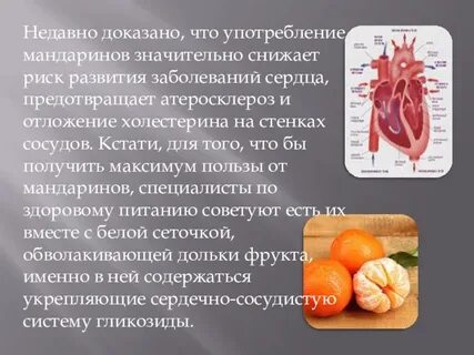 Польза и вред мандаринов для организма человека