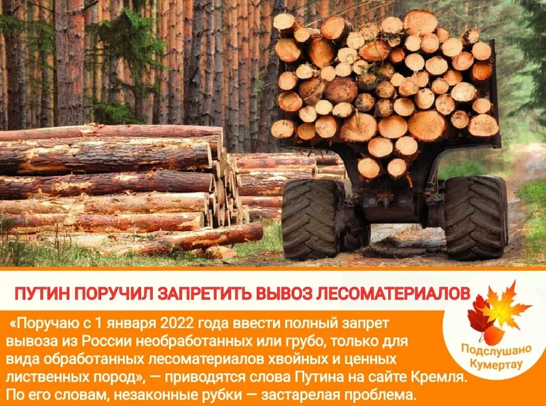 Крупнейший порт по экспорту древесины. Вывоз лесоматериалов. виды и сорта лесоматериалов. навальщик-свальщик лесоматериалов. экспорт лесоматериалов из россии.