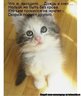 Девушка сама напросилась