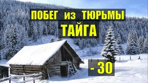 Выжил в тайге рассказ