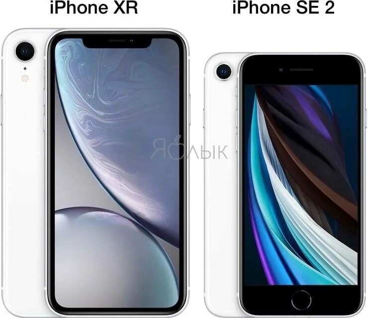 Iphone XR 2. Айфон xr2 и XR. Iphone se XR. Iphone se 2020 и XR.