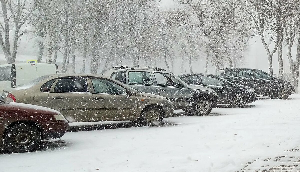 Пришел марток надевай семеро. Марток семь порток. Пришёл марток надевай семеро порток. Марток одевай СТО порток. Марток надевай 7 порток.