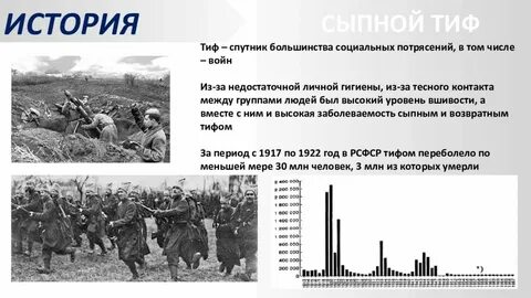 Клещевой сыпной тиф презентация
