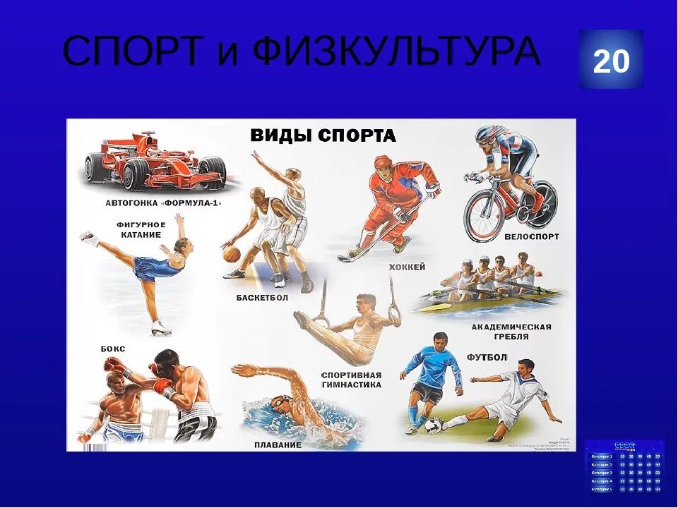 3 самых полезных видов спорта. Виды спорта. спортивные виды спорта. виды физкультуры. физические виды спорта.