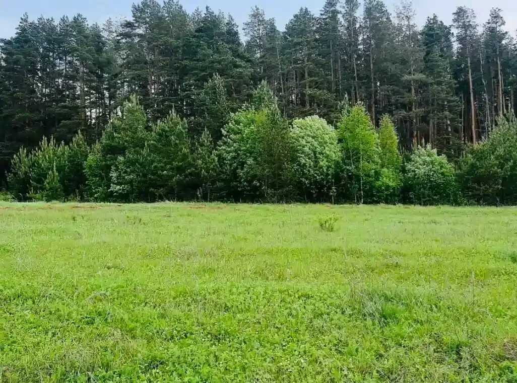 Поселок гринландия елабуга. Кп ильинские усадьбы дмитровское шоссе. Кп ильинские усадьбы дмитровское шоссе. Р сот. Р сот.