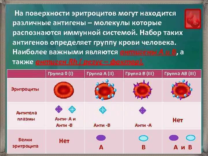 Антиген в крови донора. Антигены системы резус расположены на. Эритроцитарные антигены системы АВО. Системы антигенов эритроцитов. Антигены эритроцитов 1 группы крови.