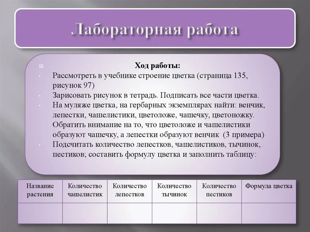 Оборудование ход работы. Лабораторная работа. Ход работы в лабораторной работе. Структура лабораторной работы. Лабораторная работа презентация.