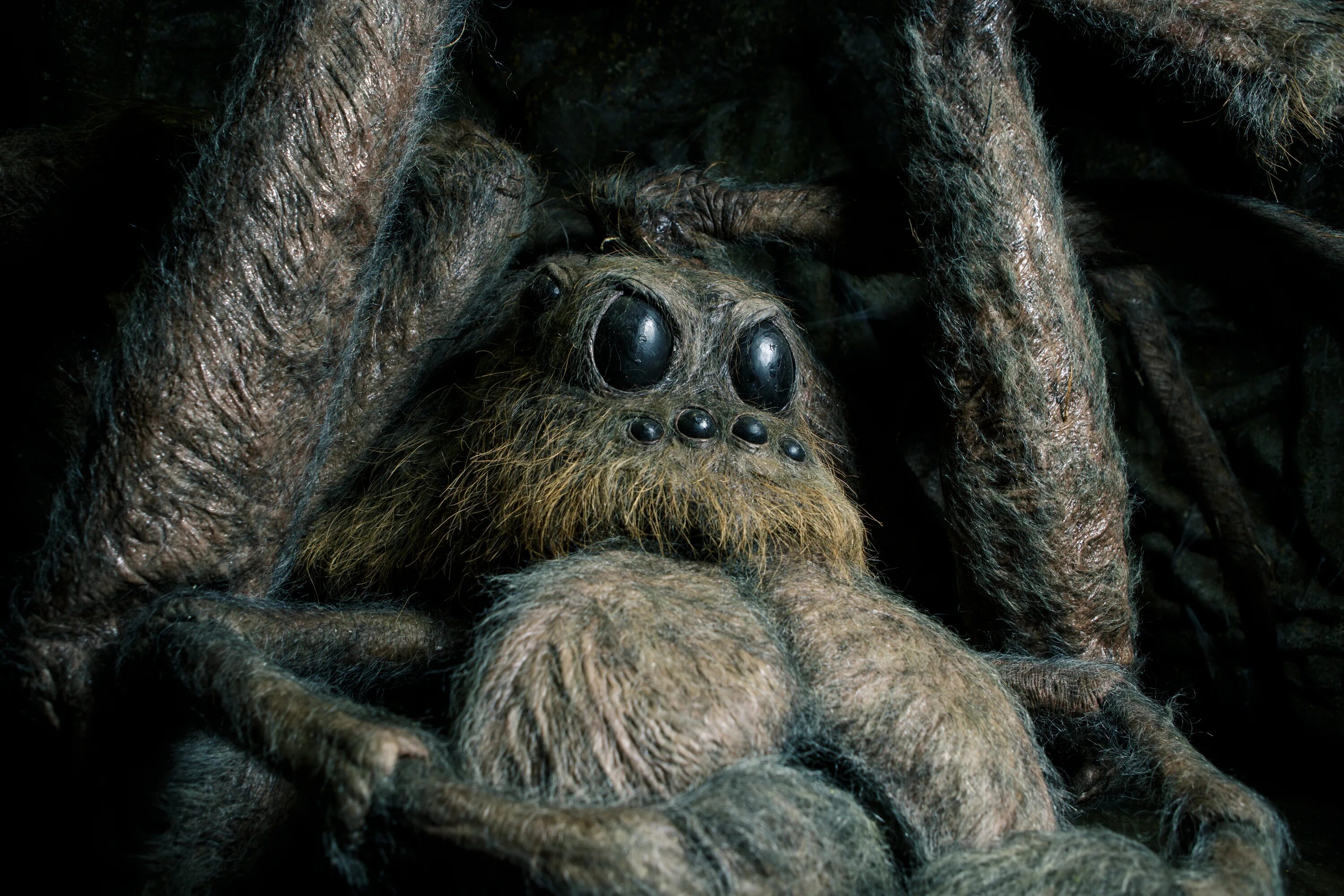 Арагог гарри поттер. Арагог. Акромантул арагог. Гарри поттер паук арагог. Арагог.