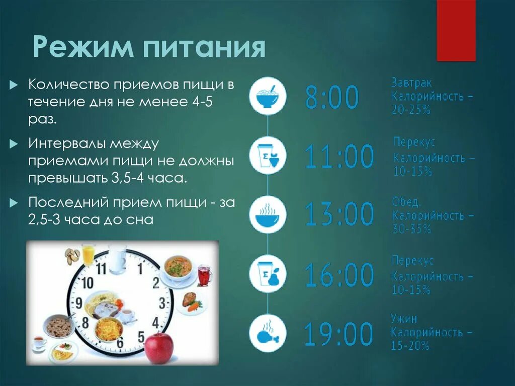 Что надо есть в течении дня. Режим питания. График питания. Правильный режим питания. Распорядок правильного питания.