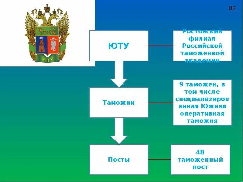 Система таможенных органов фтс рф. Функции таможенного менеджмента. Структура таможни московского государства. Управление персоналом в таможенных органах. Функции управления в таможенных органах.