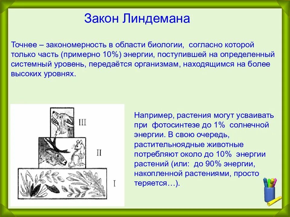 Как называется закон экологии который он иллюстрирует. Законы биологии. Основные законы биологии. Законы экологии биология. Закон экологических закономерностей.