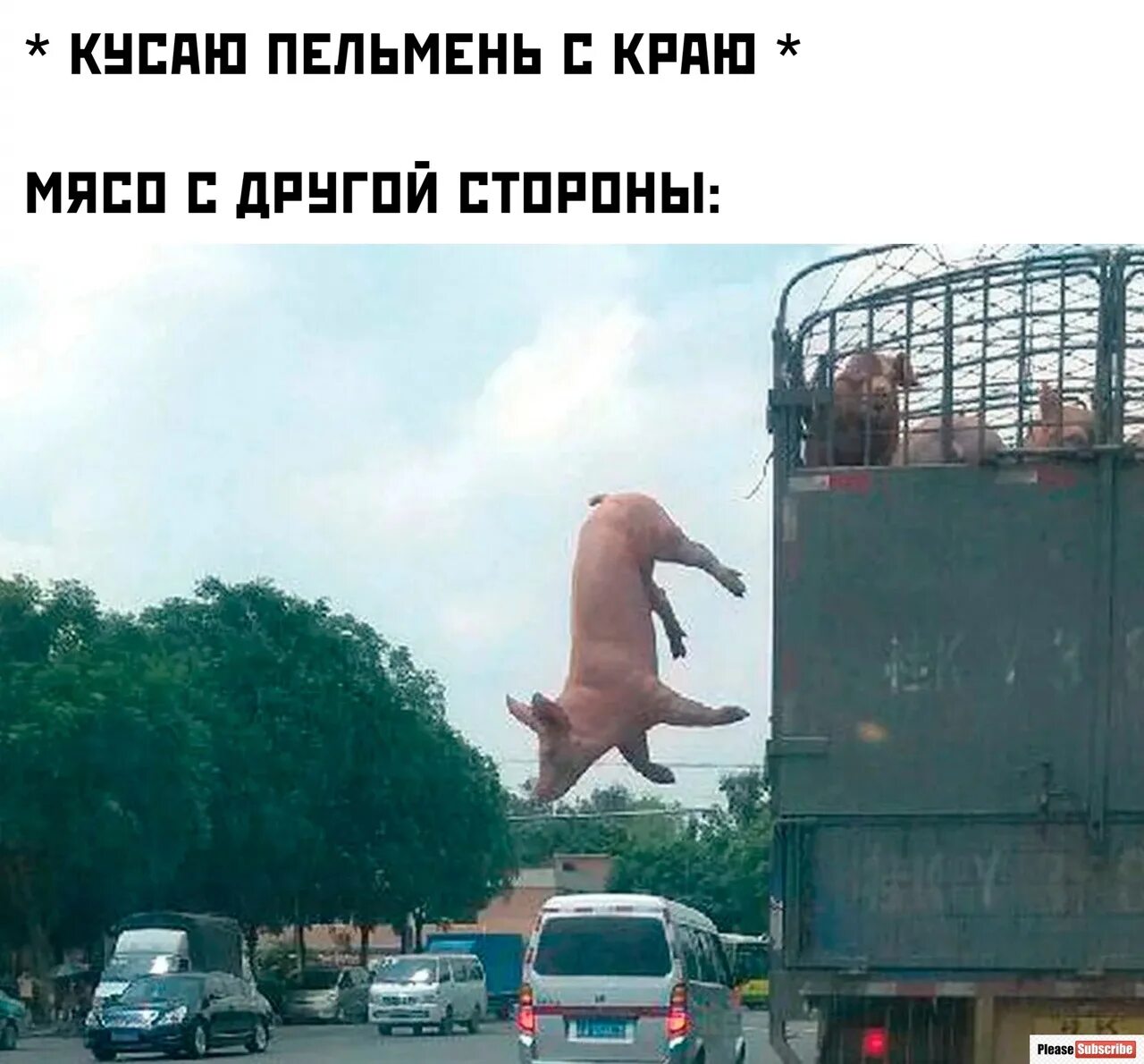 Стильные детские книжки. Украинские мемы. Детская книга дизайн. Тут прилетел большой. Аватар пол секретный материальчик.