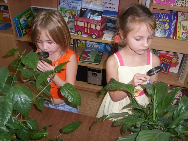 Наблюдение в детском саду. Опыты с растениями экспериментирование в детском саду. Дети экспериментируют с растениями. Дети экспериментируют в ДОУ.