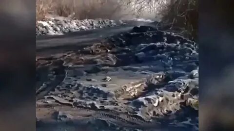 Где черный снег