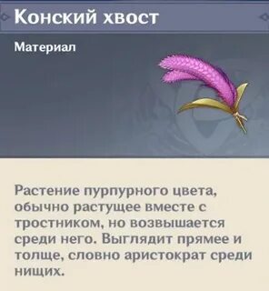Конский хвост геншин
