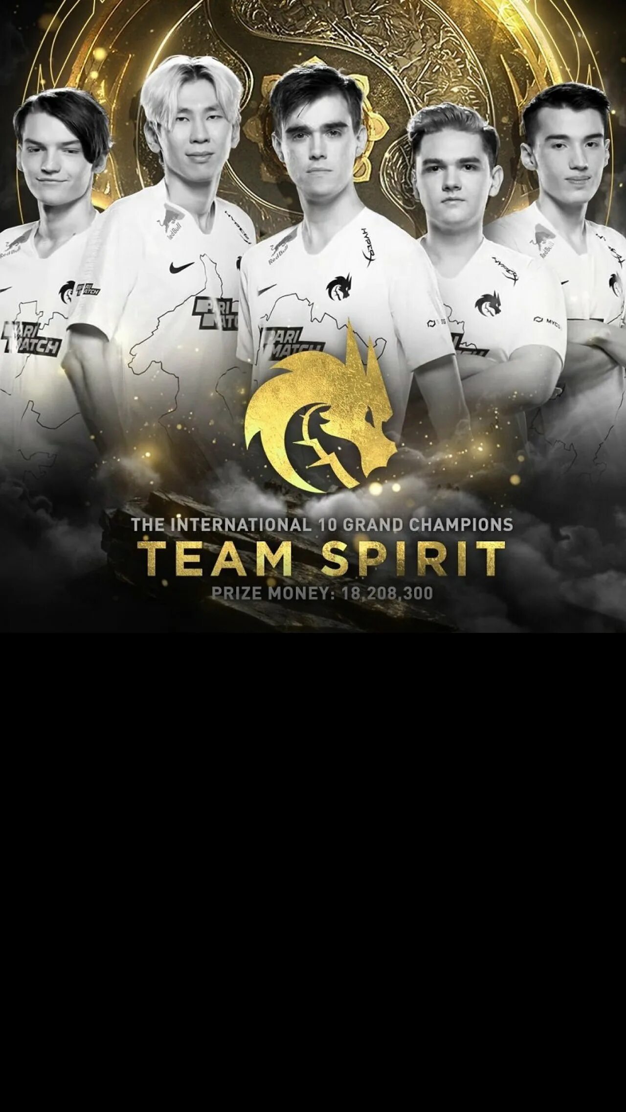 Миракл тим спирит. Team Spirit по Dota 2. Чемпионы Интернешнл ti 10 дота 2 тим спирит. Вся команда тим спирит. Team spirit страна