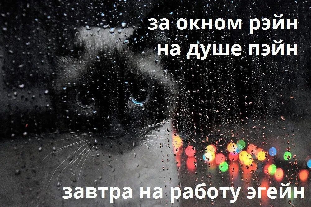 За окном Рейн на душе. На душе Рейн на душе Пейн. На улице Рейн на душе Пейн. За окном Рейн на душе Пейн.