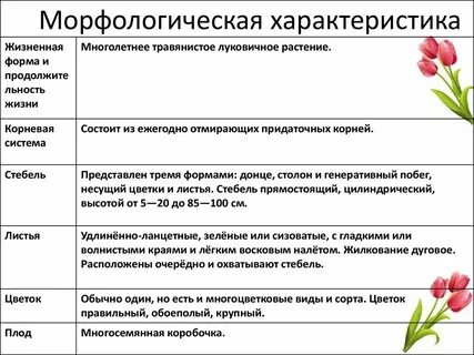 Характеристика морфологического критерия биология