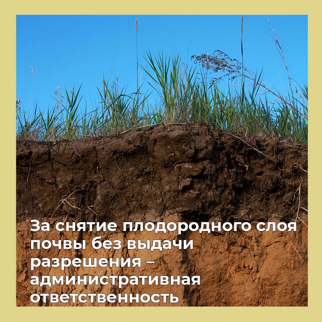 Снять плодородный слой почвы
